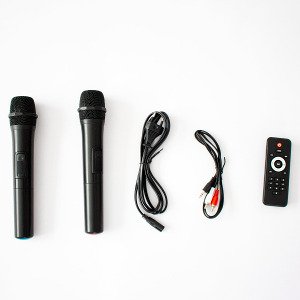 Портативная беспроводная bluetooth колонка  Eltronic DANCE BOX 200 арт. 20-07 с двумя беспроводными микрофонами и пультом дистанционного управления